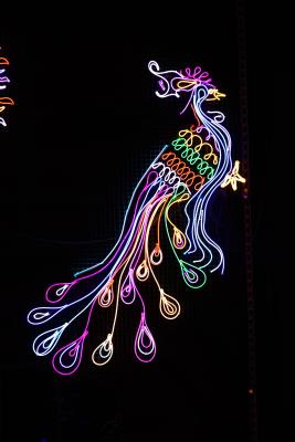 Peacock, 2020 by Chila Singh Burman